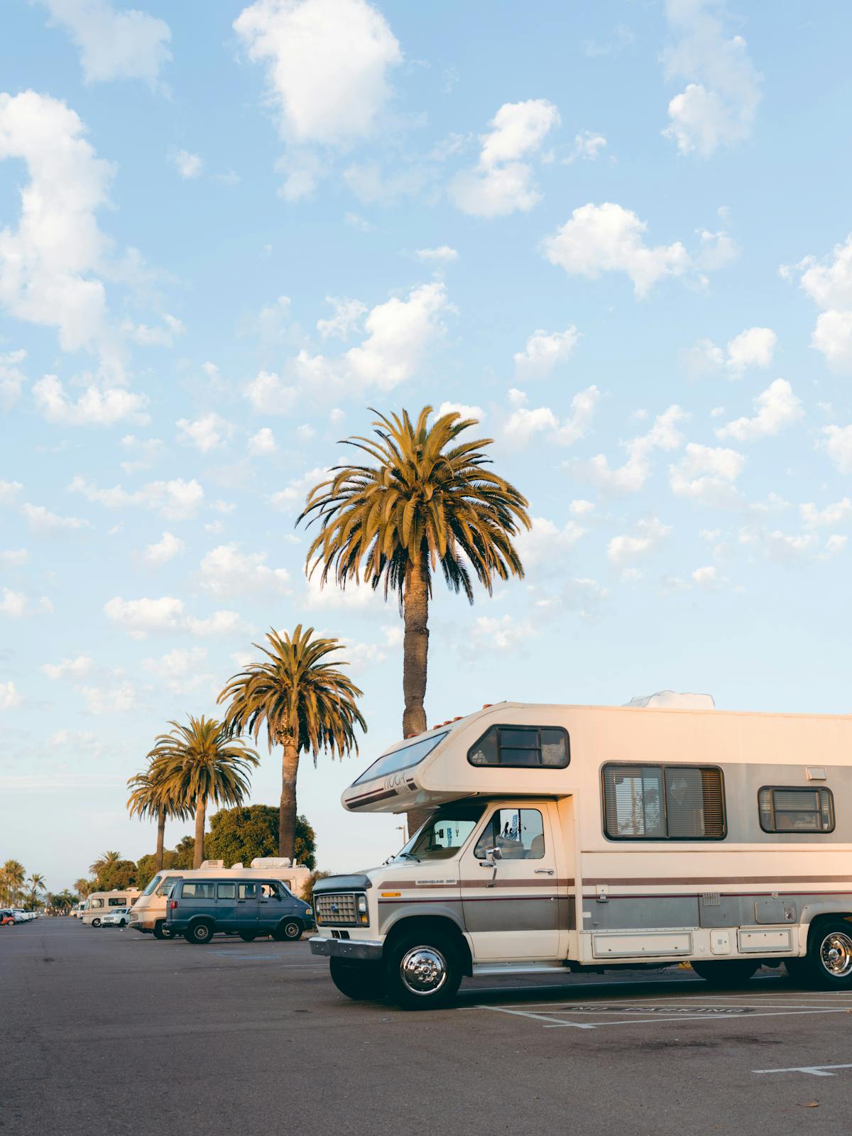 White motorhome parked under palm trees in a bright daylight parking lot